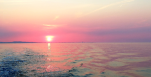 Aperitivo in barca al tramonto